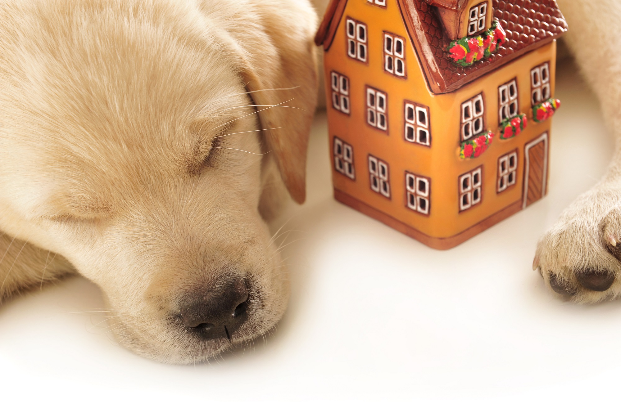 Ask About Mortgages logo – Hampshire Chamber Member